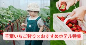 千葉でいちご狩りとホテルステイを楽しむ春旅行イメージ