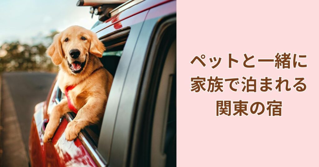 ペットと泊まれる宿 関東｜犬と一緒に泊まれるホテルのイメージ