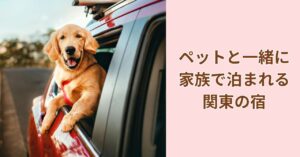 ペットと泊まれる宿 関東｜犬と一緒に泊まれるホテルのイメージ