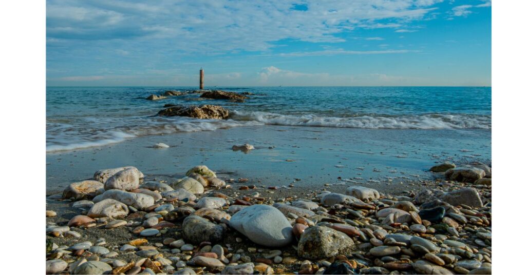 三番瀬の潮干狩り風景と干潮時の様子