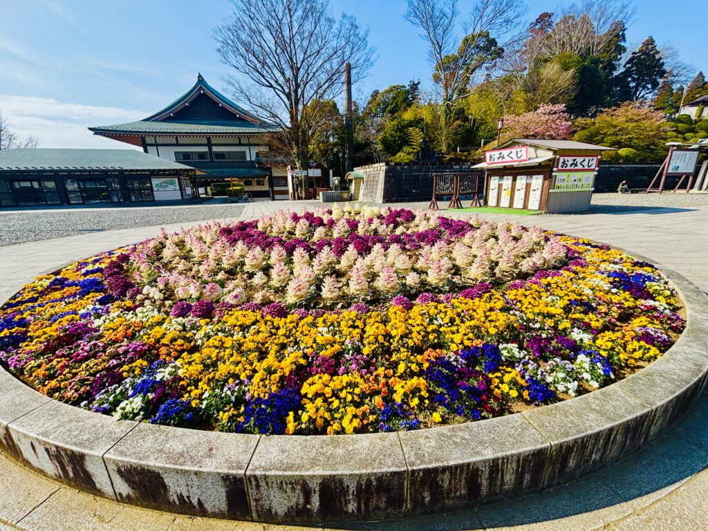 成田山新勝寺の花壇