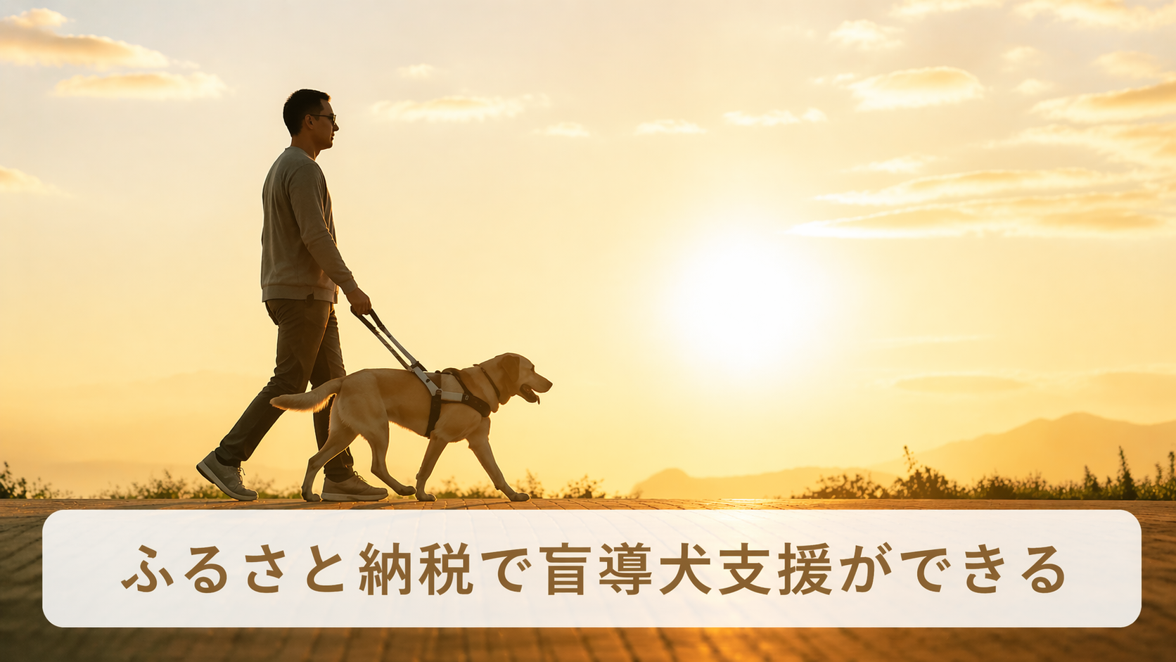 ふるさと納税で盲導犬支援ができる