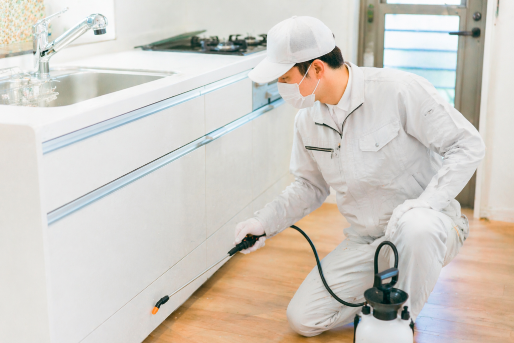 害虫駆除業者がおすすめする室内駆除の作業風景