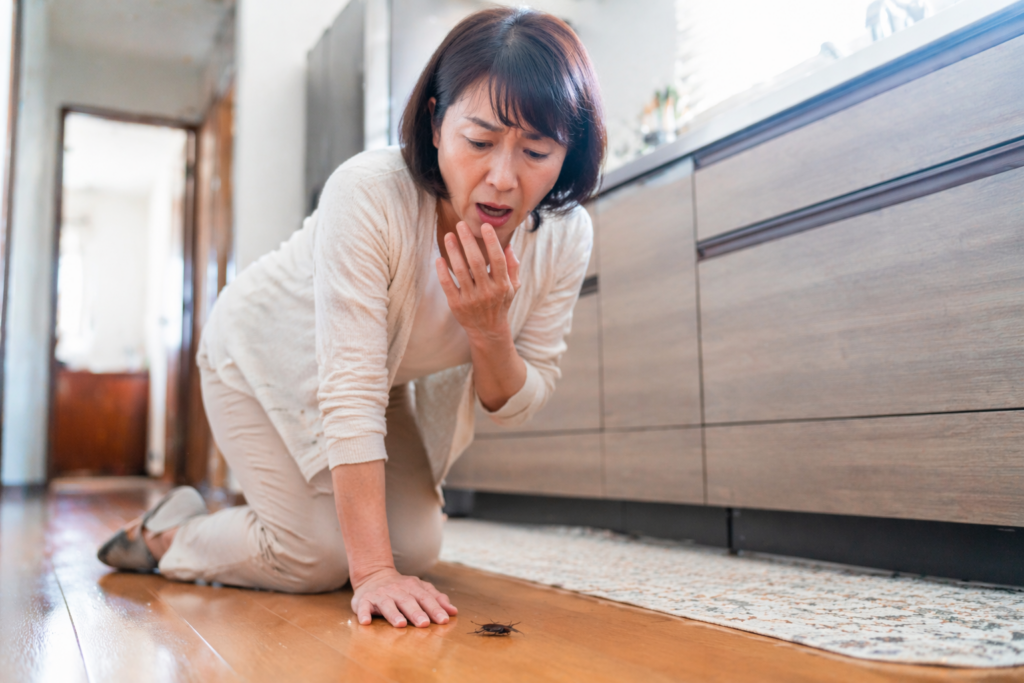 室内で害虫を見つけて害虫駆除を検討している様子