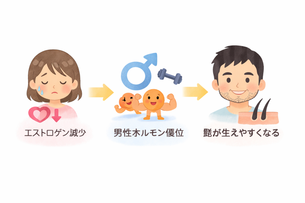 女性の口周りに髭が生える理由をホルモンバランスで説明した図